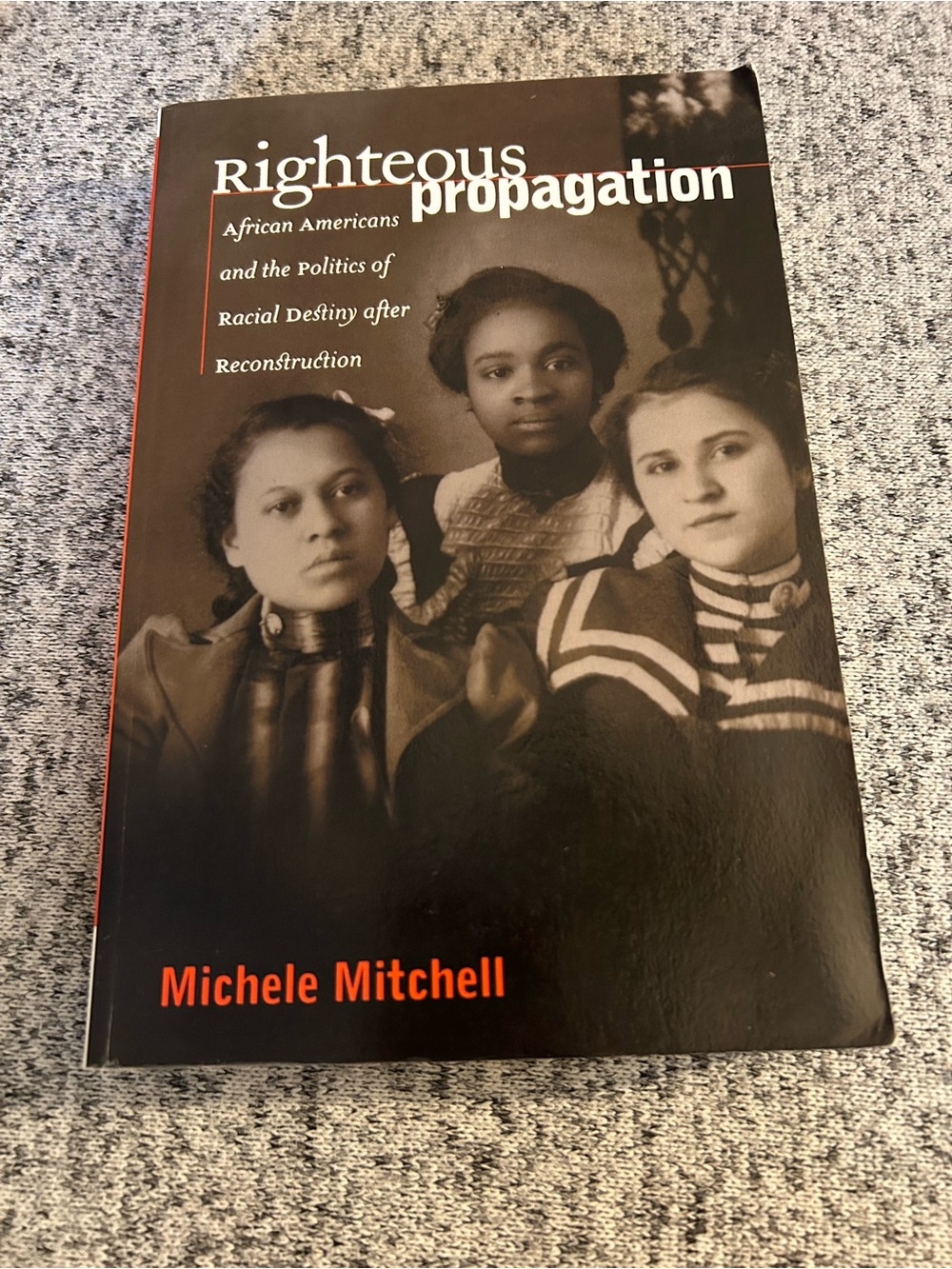 Righteous Propagation: African Americans and the Politics... Michele Mitchell PB